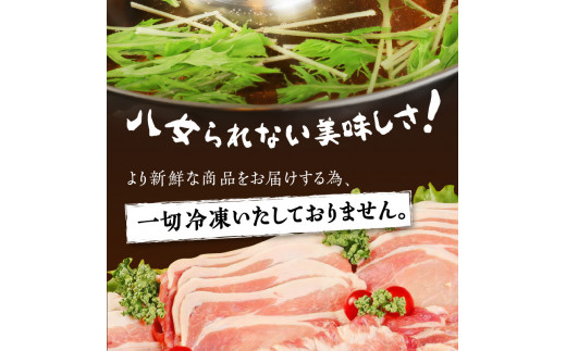 八女ふくふく肩ロースしゃぶしゃぶ用 計約800ｇ 豚肉 肩ロース ブランド豚 しゃぶしゃぶ 肉 厚切り スライス 国産 九州 ご当地 高級 ギフト 特産品