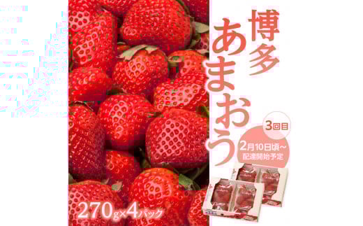 福岡冬の果物定期便【全3回】冬のお届け便　JAふくおか八女からお届け！！ みかん ミカン キウイ あまおう いちご 苺 イチゴ フルーツ 果物 くだもの 人気 旬 福岡県産 アフター補償 数量限定 期間限定 産地直送 全3回 定期便 福岡県 八女市