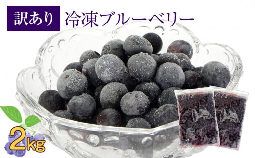 かの蜂 国産 【訳あり】 冷凍ブルーベリー2kg （1kg×2袋） 八女市産 ブルーベリー  国産 ブルーベリー 冷凍 フルーツ 八女市特産品 ヘルシー おやつ 栄養豊富 食物繊維 ビタミンC