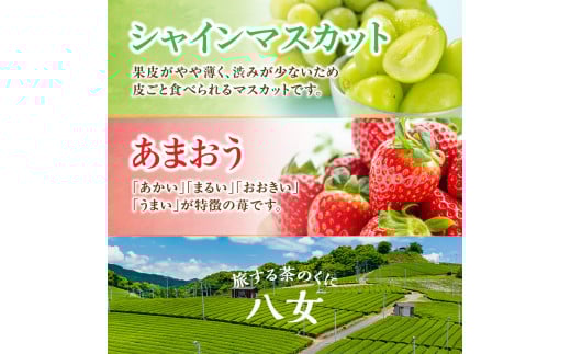 九州・福岡フルーツ王国八女　お試し旬のフルーツ定期便【全２回】 B｜＜配送不可：北海道・沖縄・離島＞　あまおう シャインマスカット いちご 苺 果物 先行予約