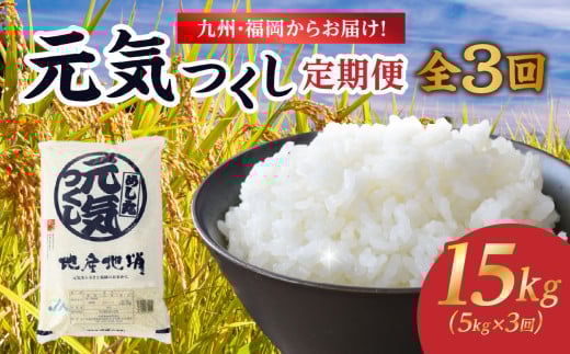九州・福岡からお届け！ブランド米「元気つくし」定期便【全３回】 お米 米 コメ 白米 特A 直送 お弁当 おにぎり 炊きたて ツヤ 粘り もちもち 弾力 卵かけご飯 福岡県 八女市