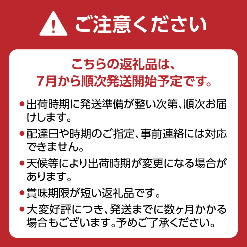 【先行受付】＜福岡のスモモ＞貴陽【1.2kg】【JAふくおか八女】※7月上旬〜発送予定 すもも フルーツ 産地直送 高糖度 糖度18度 美味しい 濃厚 甘酸っぱい 旬 先行予約 数量限定 期間限定 クール便 冷蔵配送