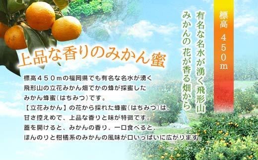 【全3回】 定期便 かの蜂 国産 みかん蜂蜜 合計1.5kg（とんがり容器500gを毎月1本お届け） 蜂蜜 はちみつ ハチミツ 非加熱 国産 ボトル 常温 保存 備蓄 防災食 非常食 プレゼント 保存食 防災グッズ 福岡県 八女市