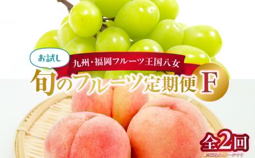 九州・福岡フルーツ王国八女　お試し旬のフルーツ定期便【全２回】 F｜＜配送不可：北海道・沖縄・離島＞ 桃 シャインマスカット もも 果物 先行予約 旬のフルーツ 詰め合わせ 福岡県 お取り寄せ 八女市