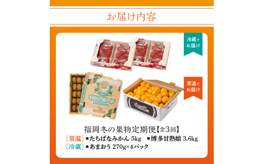 福岡冬の果物定期便【全3回】冬のお届け便　JAふくおか八女からお届け！！ みかん ミカン キウイ あまおう いちご 苺 イチゴ フルーツ 果物 くだもの 人気 旬 福岡県産 アフター補償 数量限定 期間限定 産地直送 全3回 定期便 福岡県 八女市