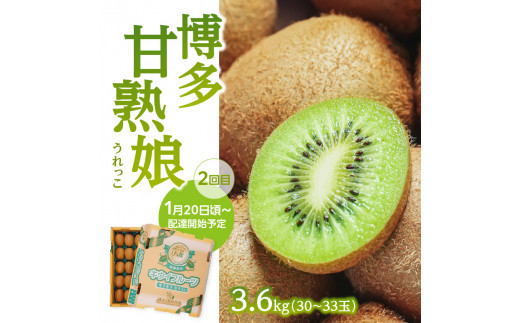 福岡冬の果物定期便【全3回】冬のお届け便　JAふくおか八女からお届け！！ みかん ミカン キウイ あまおう いちご 苺 イチゴ フルーツ 果物 くだもの 人気 旬 福岡県産 アフター補償 数量限定 期間限定 産地直送 全3回 定期便 福岡県 八女市