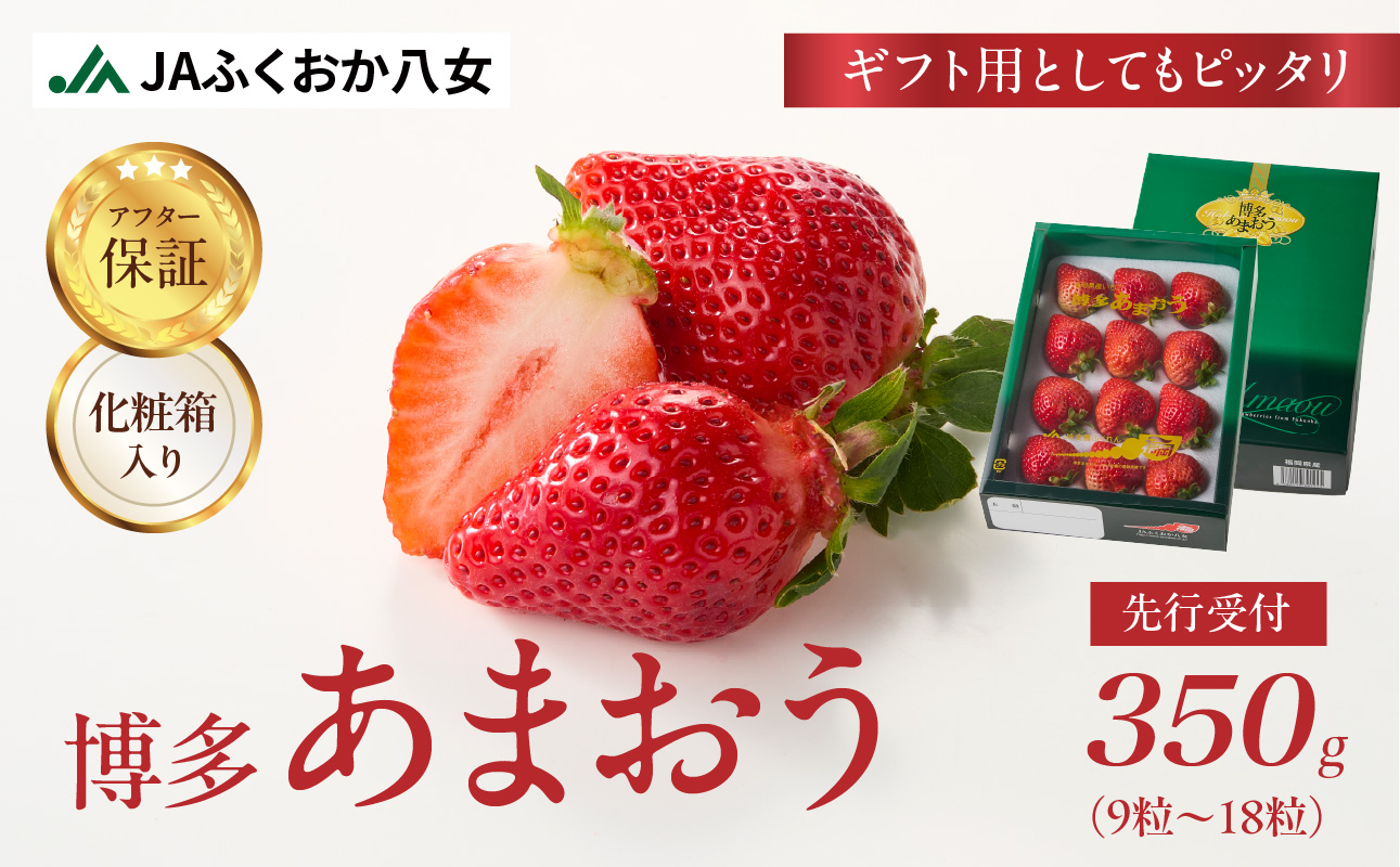 先行受付[2025年12月発送開始]博多あまおう350g(化粧箱)|JAふくおか八女 あまおう いちご 苺 イチゴ フルーツ 果物 くだもの 人気 旬 福岡県産 アフター補償 ギフト 化粧箱入り 贈答品 プレゼント 贈り物 数量限定 期間限定 産地直送 デラックス 福岡県 八女市