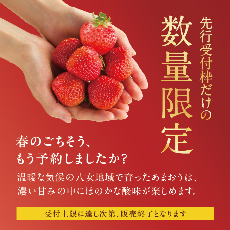 【2026年2月発送開始】博多あまおうＧ270g×4パック｜ＪＡふくおか八女 あまおう いちご 苺 イチゴ フルーツ 果物 くだもの 人気 旬 福岡県産 大粒 アフター補償 数量限定 期間限定 産地直送 グランデ 福岡県 八女市