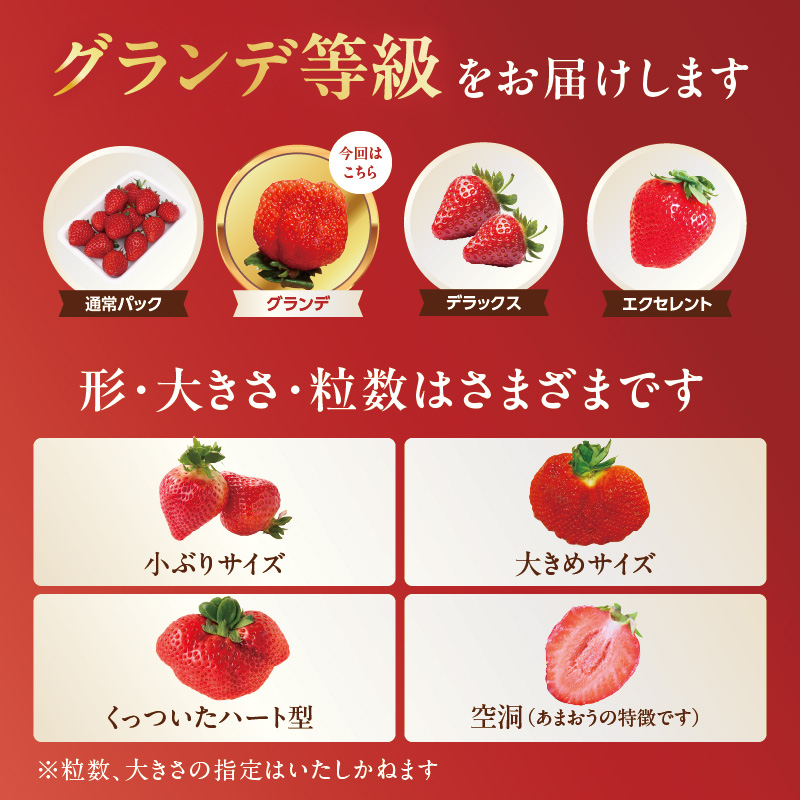 【2026年2月発送開始】博多あまおうＧ270g×4パック｜ＪＡふくおか八女 あまおう いちご 苺 イチゴ フルーツ 果物 くだもの 人気 旬 福岡県産 大粒 アフター補償 数量限定 期間限定 産地直送 グランデ 福岡県 八女市