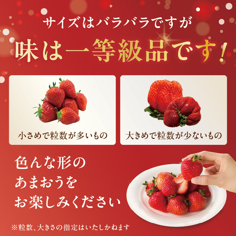 【2026年2月発送開始】博多あまおうＧ270g×4パック｜ＪＡふくおか八女 あまおう いちご 苺 イチゴ フルーツ 果物 くだもの 人気 旬 福岡県産 大粒 アフター補償 数量限定 期間限定 産地直送 グランデ 福岡県 八女市