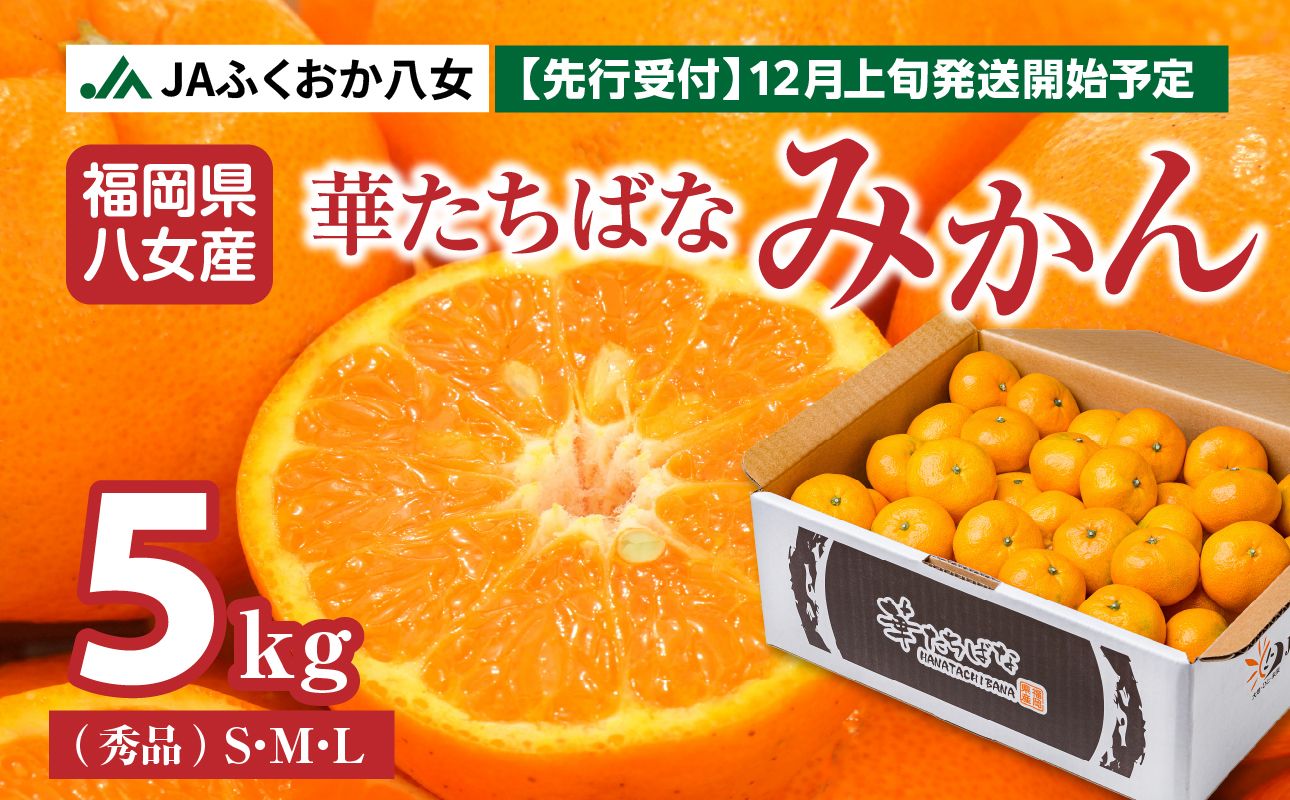 【先行予約】【2025年12月発送開始】華たちばなみかん 約5kg｜ＪＡふくおか八女 蜜柑 ミカン 秀品 福岡 果物 フルーツ 先行予約 家庭用 自宅用 期間限定 数量限定