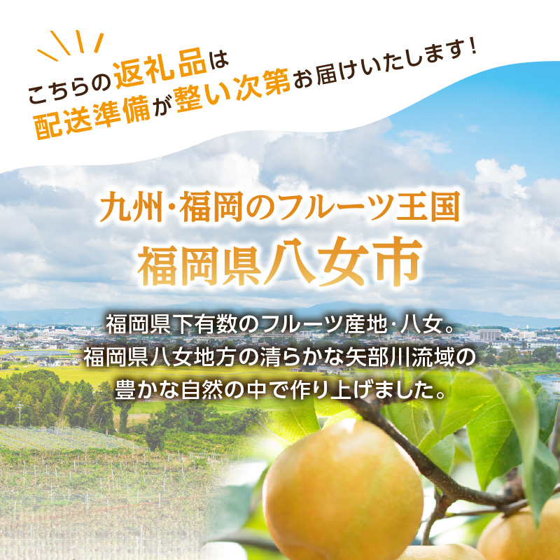 【先行受付】豊水梨（5kg）【ＪＡふくおか八女】｜2027年8月中旬～発送予定 糖度12～13% なし 梨 ナシ 豊水梨 豊水 福岡 4L〜2Lサイズ 産地直送 期間限定 甘い みずみずしい 果物 果実 フルーツ デザート 旬