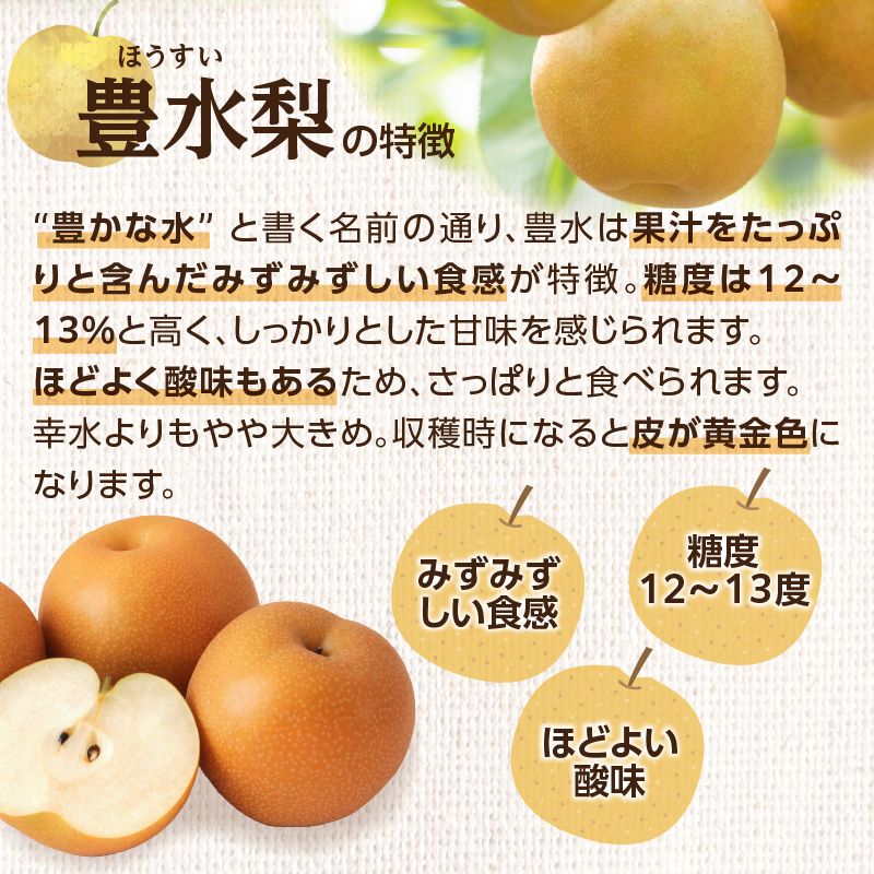 【先行受付】豊水梨（5kg）【ＪＡふくおか八女】｜2027年8月中旬～発送予定 糖度12～13% なし 梨 ナシ 豊水梨 豊水 福岡 4L〜2Lサイズ 産地直送 期間限定 甘い みずみずしい 果物 果実 フルーツ デザート 旬