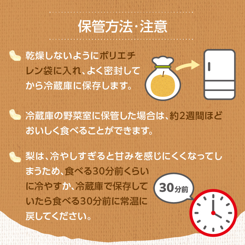 【先行受付】豊水梨（5kg）【ＪＡふくおか八女】｜2027年8月中旬～発送予定 糖度12～13% なし 梨 ナシ 豊水梨 豊水 福岡 4L〜2Lサイズ 産地直送 期間限定 甘い みずみずしい 果物 果実 フルーツ デザート 旬