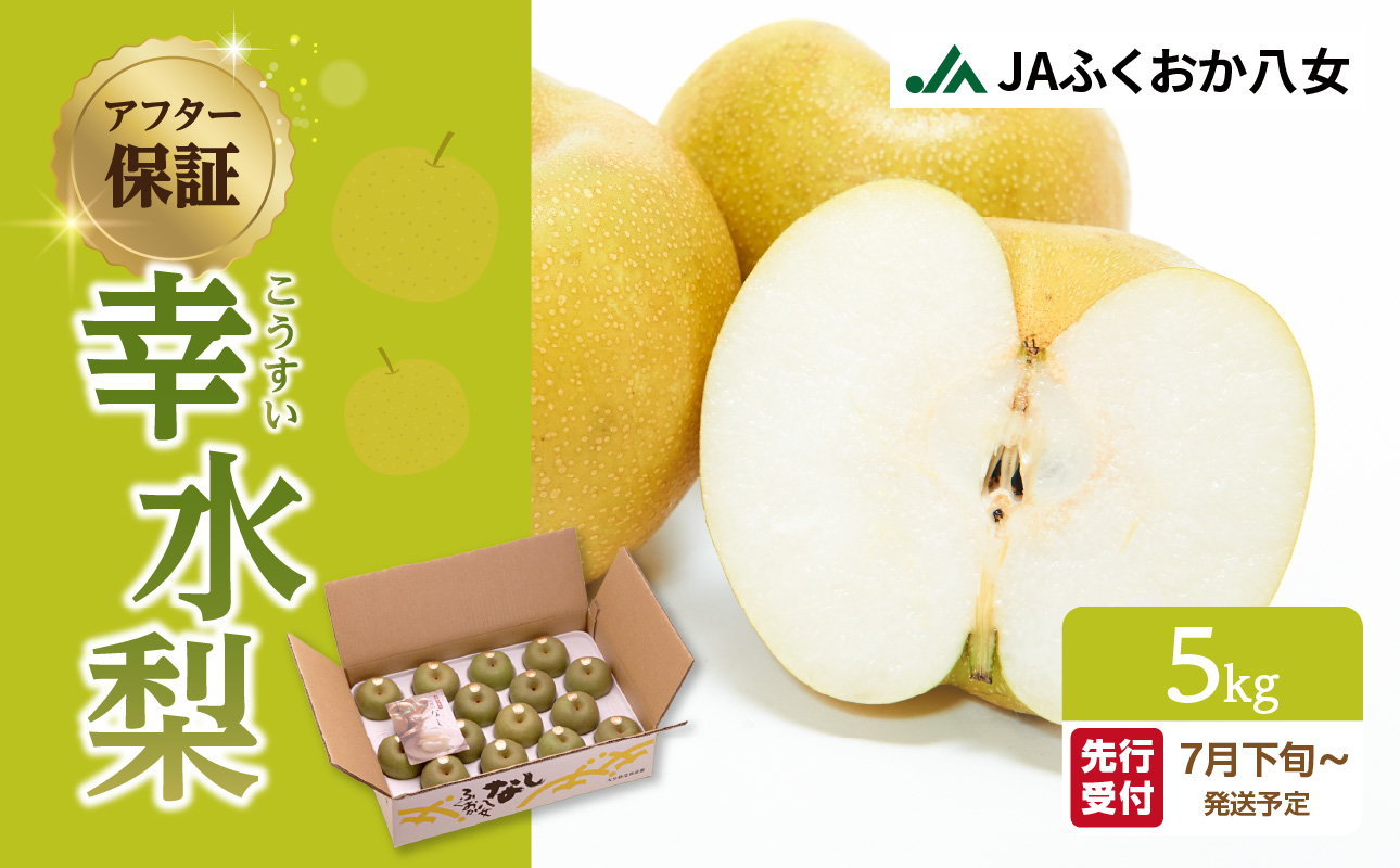 【先行受付】幸水梨(5kg)【JAふくおか八女】|2026年7月下旬~発送予定 梨 なし 幸水 幸水梨 フルーツ 果物 くだもの みずみずしい 爽やか 甘い シャリシャリ食感 産地直送 デザート 旬 甘い