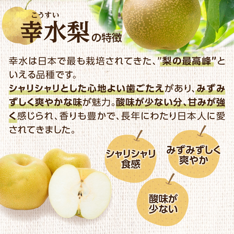 ãå
è¡åä»ã幞氎梚ïŒ5kgïŒããµãããå
«å¥³ãïœ2026幎7æäžæ¬ïœçºéäºå® 梚 ãªã 幞氎 幞氎梚 ãã«ãŒã æç© ãã ãã® ã¿ãã¿ããã çœãã çã ã·ã£ãªã·ã£ãªé£æ ç£å°çŽé ãã¶ãŒã æ¬ çã