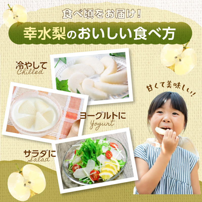 ãå
è¡åä»ã幞氎梚ïŒ5kgïŒããµãããå
«å¥³ãïœ2026幎7æäžæ¬ïœçºéäºå® 梚 ãªã 幞氎 幞氎梚 ãã«ãŒã æç© ãã ãã® ã¿ãã¿ããã çœãã çã ã·ã£ãªã·ã£ãªé£æ ç£å°çŽé ãã¶ãŒã æ¬ çã