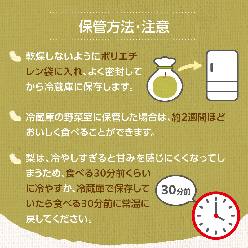 ãå
è¡åä»ã幞氎梚ïŒ5kgïŒããµãããå
«å¥³ãïœ2026幎7æäžæ¬ïœçºéäºå® 梚 ãªã 幞氎 幞氎梚 ãã«ãŒã æç© ãã ãã® ã¿ãã¿ããã çœãã çã ã·ã£ãªã·ã£ãªé£æ ç£å°çŽé ãã¶ãŒã æ¬ çã