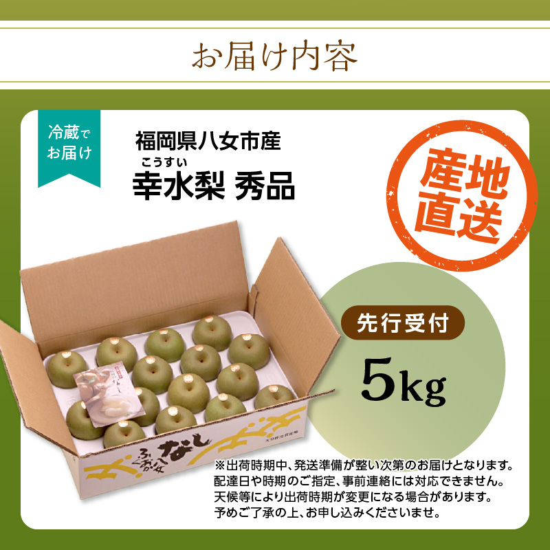 ãå
è¡åä»ã幞氎梚ïŒ5kgïŒããµãããå
«å¥³ãïœ2026幎7æäžæ¬ïœçºéäºå® 梚 ãªã 幞氎 幞氎梚 ãã«ãŒã æç© ãã ãã® ã¿ãã¿ããã çœãã çã ã·ã£ãªã·ã£ãªé£æ ç£å°çŽé ãã¶ãŒã æ¬ çã