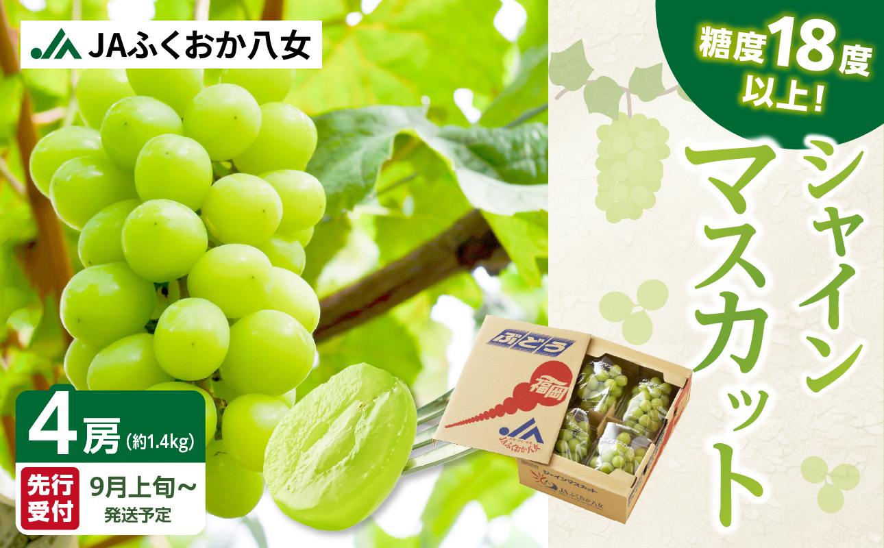 ãå
è¡äºçŽãã·ã£ã€ã³ãã¹ã«ããïŒ350gÃ4ããã¯ïŒããµãããå
«å¥³ãïœïŒæäžæ¬ãçºéäºå® ãã¹ã«ãã ã¶ã©ã çš®ãªã ç®ããšé£ã¹ããã ç³åºŠ18床 é«ç³åºŠ çã å³éž ç£å°çŽé æ°é®® 1.4kg å
è¡äºçŽ æ¬ ã¯ãŒã«äŸ¿ å質ä¿èšŒ æ°ééå® çŠå²¡ å
«å¥³