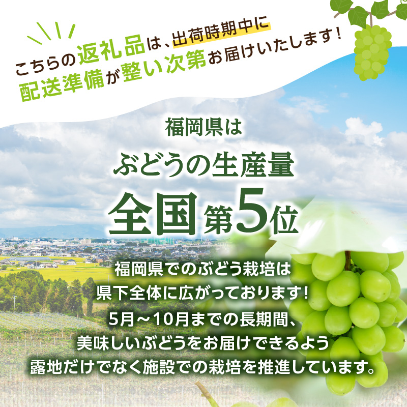 ãå
è¡äºçŽãã·ã£ã€ã³ãã¹ã«ããïŒ350gÃ4ããã¯ïŒããµãããå
«å¥³ãïœïŒæäžæ¬ãçºéäºå® ãã¹ã«ãã ã¶ã©ã çš®ãªã ç®ããšé£ã¹ããã ç³åºŠ18床 é«ç³åºŠ çã å³éž ç£å°çŽé æ°é®® 1.4kg å
è¡äºçŽ æ¬ ã¯ãŒã«äŸ¿ å質ä¿èšŒ æ°ééå® çŠå²¡ å
«å¥³