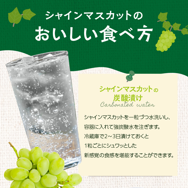 ãå
è¡äºçŽãã·ã£ã€ã³ãã¹ã«ããïŒ350gÃ4ããã¯ïŒããµãããå
«å¥³ãïœïŒæäžæ¬ãçºéäºå® ãã¹ã«ãã ã¶ã©ã çš®ãªã ç®ããšé£ã¹ããã ç³åºŠ18床 é«ç³åºŠ çã å³éž ç£å°çŽé æ°é®® 1.4kg å
è¡äºçŽ æ¬ ã¯ãŒã«äŸ¿ å質ä¿èšŒ æ°ééå® çŠå²¡ å
«å¥³