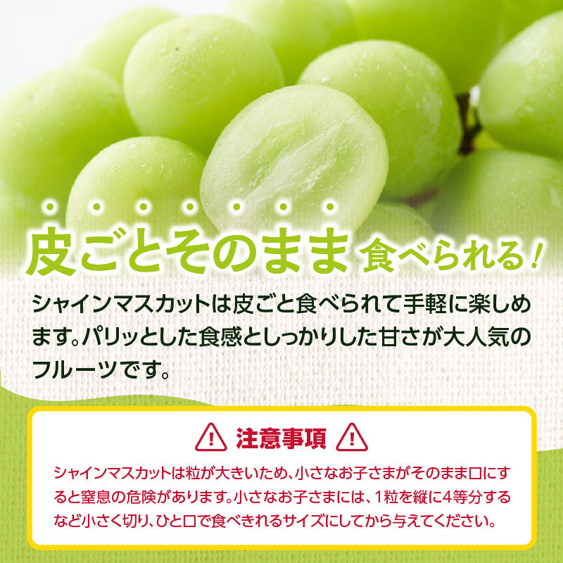 ãå
è¡äºçŽãã·ã£ã€ã³ãã¹ã«ããïŒ350gÃ4ããã¯ïŒããµãããå
«å¥³ãïœïŒæäžæ¬ãçºéäºå® ãã¹ã«ãã ã¶ã©ã çš®ãªã ç®ããšé£ã¹ããã ç³åºŠ18床 é«ç³åºŠ çã å³éž ç£å°çŽé æ°é®® 1.4kg å
è¡äºçŽ æ¬ ã¯ãŒã«äŸ¿ å質ä¿èšŒ æ°ééå® çŠå²¡ å
«å¥³