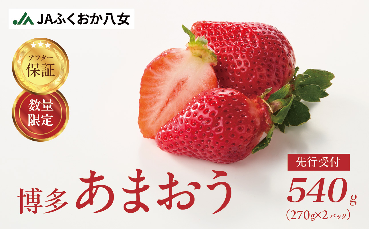 【先行受付 2026年2月発送開始】博多あまおうＧ270g×2パック｜ＪＡふくおか八女 あまおう いちご 苺 イチゴ フルーツ 果物 くだもの 人気  旬 福岡県産 大粒 アフター補償 数量限定 期間限定 産地直送 グランデ 福岡県 八女市