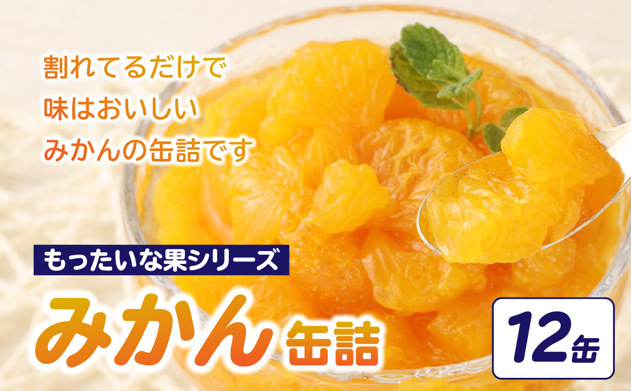 【訳あり】 もったいな果シリーズ みかん 缶詰 5号缶×12缶 セット 国産