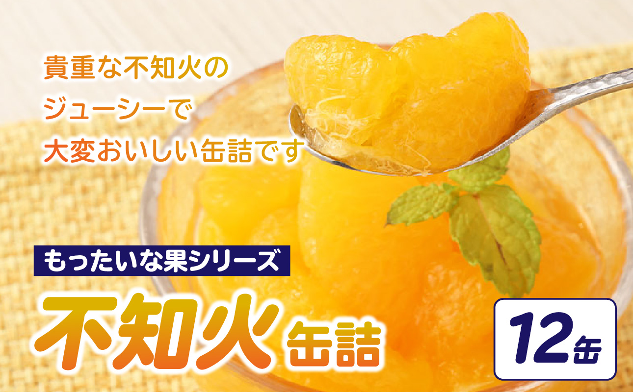 【訳あり】もったいな果シリーズ 不知火 缶詰 5号缶×12缶 セット