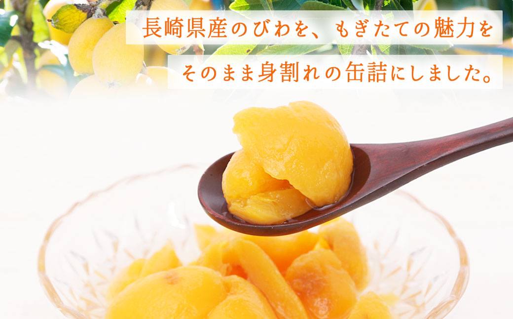 長崎県産 びわ（身割れ）缶詰 8個セット 国産 八女市 ビワ 枇杷 フルーツ缶詰 保存食 非常食 防災 備蓄食 かんづめ フルーツ 果物 身割れ まとめ買い