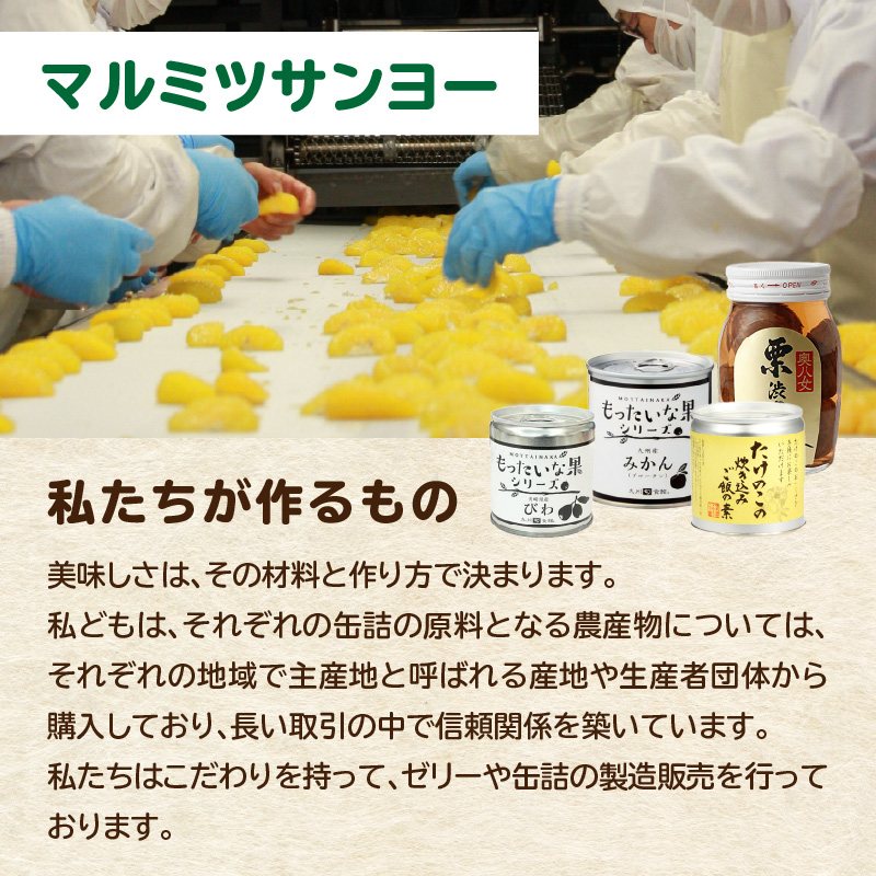 【訳あり】もったいな果シリーズ 不知火 缶詰 5号缶×12缶 セット