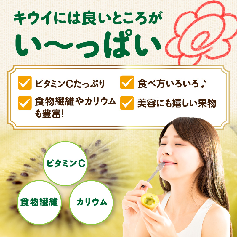 九州・福岡フルーツ王国八女 産地直送キウイフルーツ 約3.0kg【2026年12月発送開始】＜配送不可：北海道・沖縄・離島＞ フルーツ ヘイワード 産地直送 期間限定 福岡県 八女市