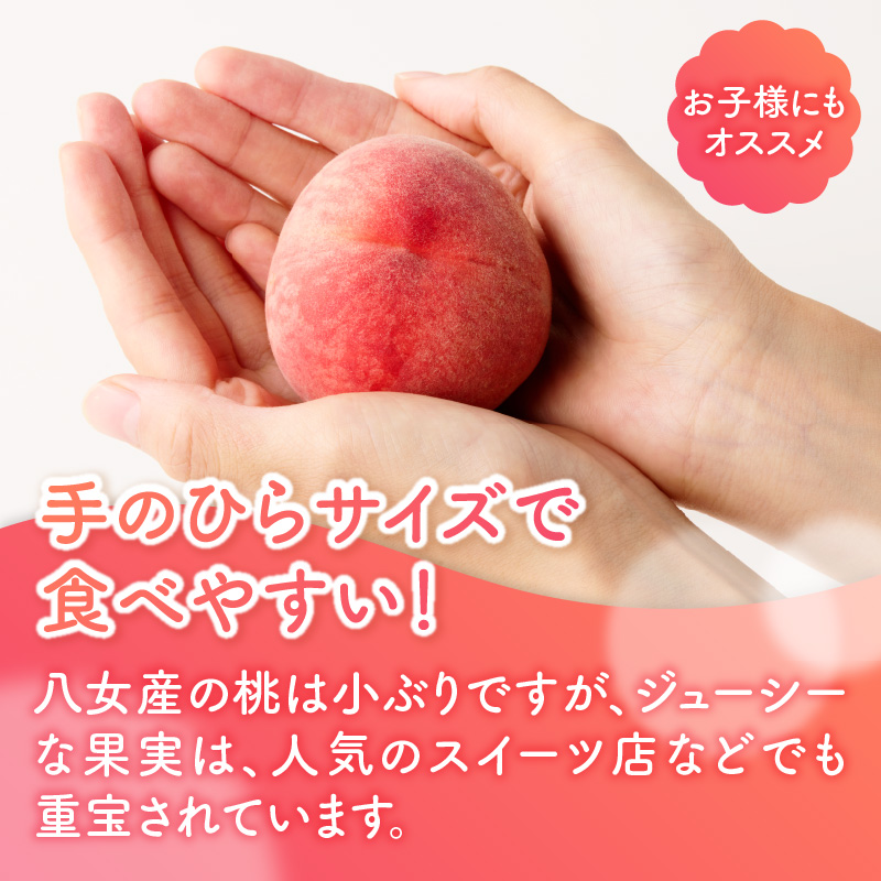 ã2026幎5æäžæ¬ïœ6æçºéãä¹å·ã»çŠå²¡ãã«ãŒãçåœå
«å¥³ããçŽéïŒæ¡ 8çå
¥ãïŒé
éäžå¯ïŒåæµ·éã»æ²çžã»é¢å³¶ïŒ ç å
«æ¡ ãã ã¢ã¢ ãã«ãŒã ãã ãã® æç© ç£å°çŽé ãžã¥ãŒã·ãŒ å®¶åºçš èªå®
çš å®¶æå£ãã ãã¶ãŒã ã¹ã€ãŒãäœã çŠå²¡å¥³åž