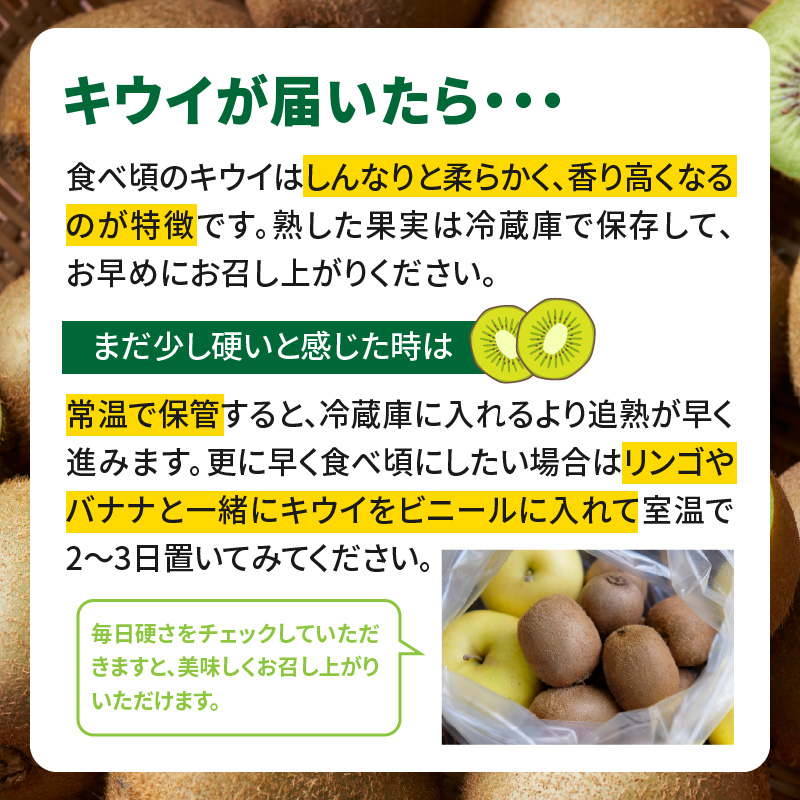 ãå
è¡åä»ïŒ2026幎11æé çºééå§ãçŠå²¡éå®åçš®ããŠã€ãçãããçŽ1.3ïœ1.5kg <é
éäžå¯å°åïŒåæµ·éã»æ²çžã»é¢å³¶> å
è¡åä» ããŠã€ ããŠã€ãã«ãŒã ãã«ãŒã æç© ãã ãã® çã é«ç³åºŠ åžå° ãªãªãžãã«åçš® æ°åçš® æ°ãã©ã³ã çŠå²¡ç å
«å¥³åž