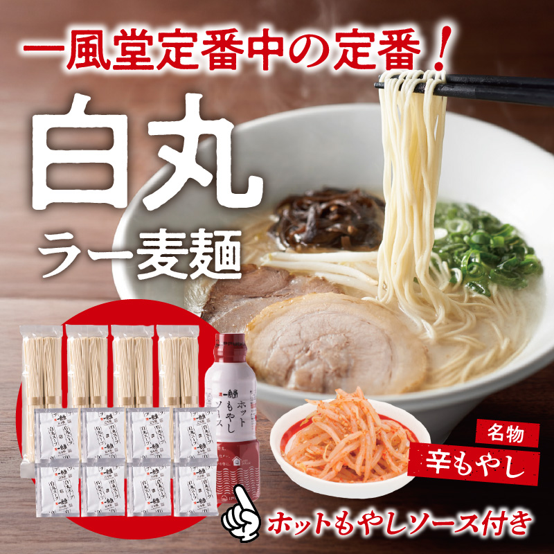 【一風堂】白丸ラー麦麺セット＆ホットもやしソースセット ラーメン とんこつ 豚骨 豚骨スープ ストレート麺 ラー麦 本格 福岡 ご当地 お取り寄せ 福岡県 八女市