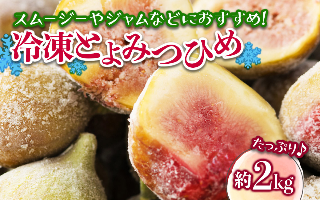 冷凍とよみつひめ（いちじく）約2kg いちじく とよみつひめ 冷凍 1kg 2袋 小分け クール便 冷凍配送 デザート シャーベット スムージー ジャム パン お菓子作り アレンジ デザート フルーツ 福岡県 八女市