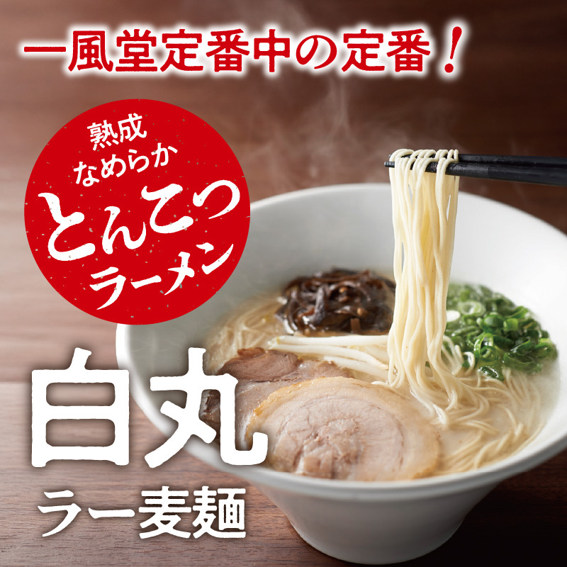 一風堂白丸ラー麦麺セット（6食） ラーメン 豚骨 スープ 麺 セット ラー麦 福岡