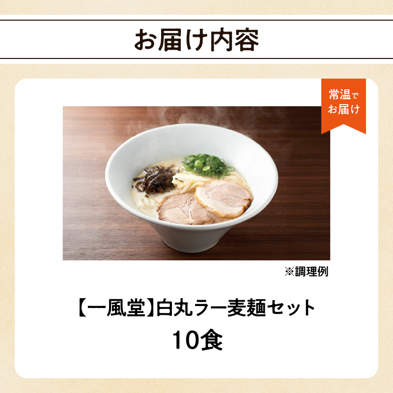 一風堂白丸ラー麦麺セット（10食） ラーメン 麺 濃厚 豚骨 とんこつ 福岡 八女 博多 博多一風堂