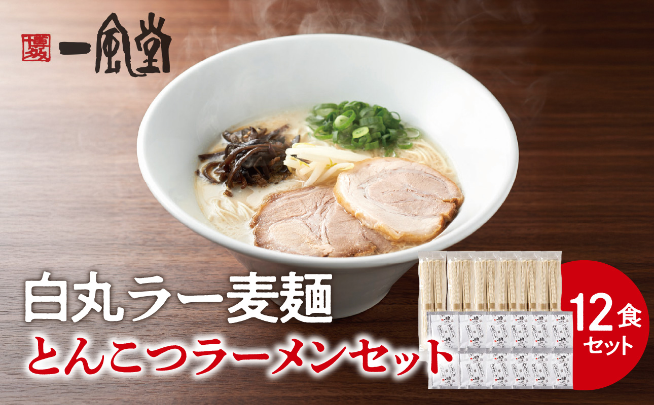 一風堂白丸ラー麦麺セット（12食） ラーメン 博多 福岡 とんこつ ラー麦 麺 セット