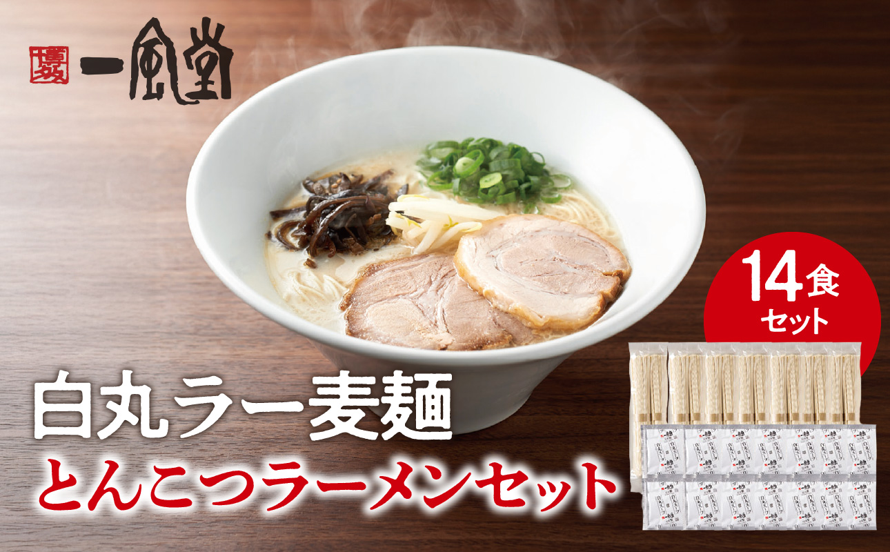 一風堂白丸ラー麦麺セット（14食） ラーメン とんこつ 豚骨 豚骨スープ ストレート麺 ラー麦 本格 福岡 ご当地 お取り寄せ