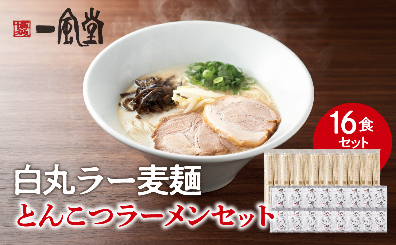 一風堂白丸ラー麦麺セット（16食） ラーメン とんこつ 豚骨 豚骨スープ ストレート麺 ラー麦 本格 福岡 ご当地 お取り寄せ