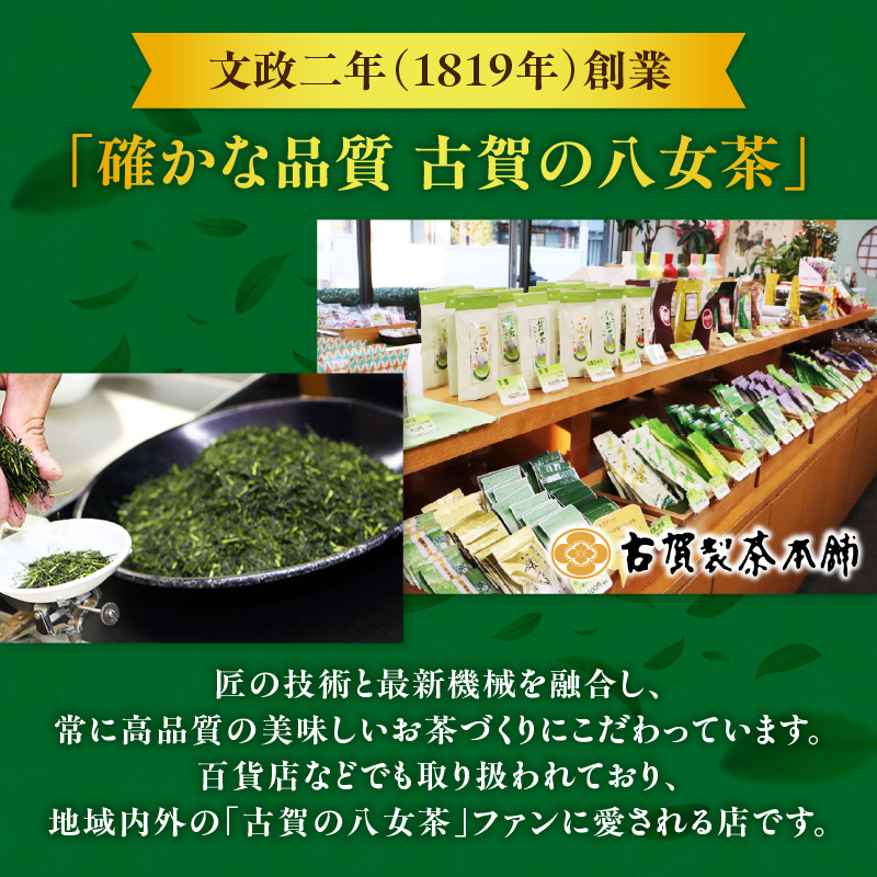 創業200年の老舗・古賀製茶本舗  玉露入り八女茶ティーバッグ100パック 八女茶 玉露入り 老舗 茶舗 大容量 香り 茶葉 伝統の味 簡単 ティーバッグ