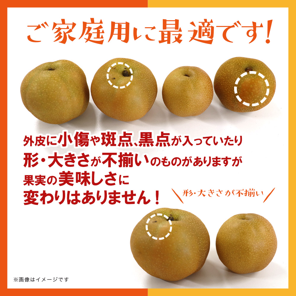 産地直送！ 梨(豊水) 約5kg 【2026年8～9月発送】九州・福岡フルーツ王国八女 ＜配送不可：北海道・沖縄・離島＞ なし ナシ 果物 果実 フルーツ 先行予約 デザート 旬 新鮮 甘い 甘み ジューシー みずみずしい 果汁 国産 季節限定 冷蔵配送 数量限定 秋の味覚