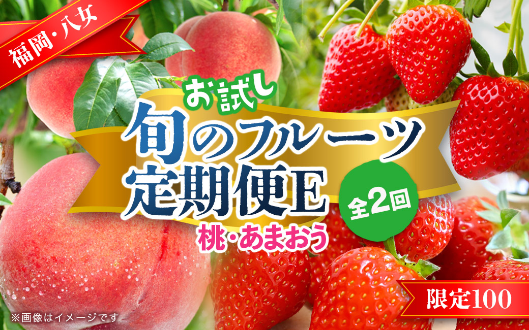 九州・福岡フルーツ王国八女　お試し旬のフルーツ定期便【全２回】 E｜＜配送不可：北海道・沖縄・離島＞ あまおう いちご 苺 イチゴ もも 桃 果物 フルーツ 旬 もぎたて 定期便 福岡 八女