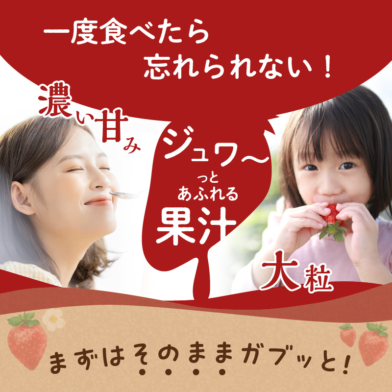 çŠå²¡çç£ããŸãã 270gÃ4ããã¯ã2026幎3æçºééå§ã ããŸãã ãã¡ã èº ã€ã㎠ãã«ãŒã æç© ãã ãã® äººæ° æ¬ çŠå²¡çç£ 270g 4ãã㯠ç£å°çŽé å·èµé
é ã¯ãŒã«äŸ¿ å
è¡äºçŽ æééå® çŠå²¡ç å
«å¥³åž