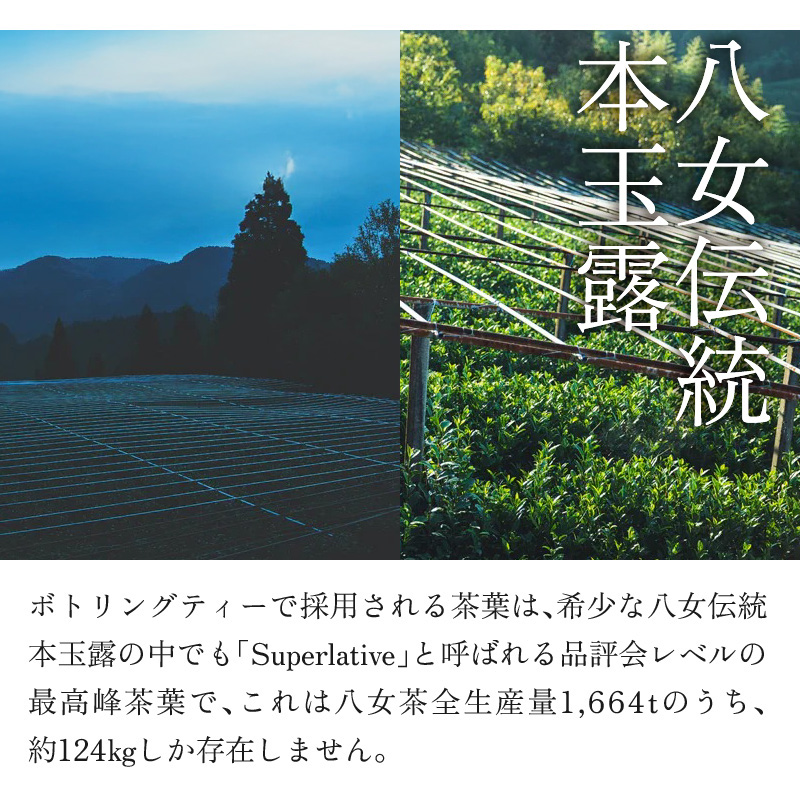 蜈ォ螂ウ莨晉オア譛ャ邇蛾愆 LA SELECTION de Joel Robuchon 闌カ 縺願幻 蜈ォ螂ウ闌カ 譌・譛ャ闌カ 鬮倡エ夊幻 邇蛾愆 繧ョ繝輔ヨ 雍育ュ泌刀 縺励★縺剰幻 髯仙ョ 遖丞イ。逵 蜈ォ螂ウ蟶