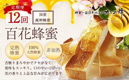 【全12回】定期便 かの蜂 国産 百花蜂蜜 12kg（とんがり容器1kgを毎月1本お届け）