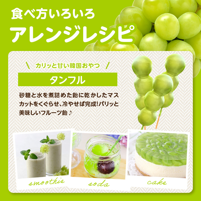 ãå
è¡äºçŽãã·ã£ã€ã³ãã¹ã«ããïŒ350gÃ4ããã¯ïŒããµãããå
«å¥³ãïœïŒæäžæ¬ãçºéäºå® ãã¹ã«ãã ã¶ã©ã çš®ãªã ç®ããšé£ã¹ããã ç³åºŠ18床 é«ç³åºŠ çã å³éž ç£å°çŽé æ°é®® 1.4kg å
è¡äºçŽ æ¬ ã¯ãŒã«äŸ¿ å質ä¿èšŒ æ°ééå® çŠå²¡ å
«å¥³