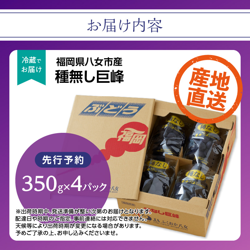 【先行受付】種なし 巨峰 1.4kg（350g×4パック）｜2026年7月上旬〜発送予定 産地直送 朝採れ 種なし 甘い ジューシー 大粒 数量限定 冷蔵 ぶどう ブドウ 葡萄 デザート 果物 くだもの フルーツ もぎたて スイーツ 九州 福岡県 八女市
